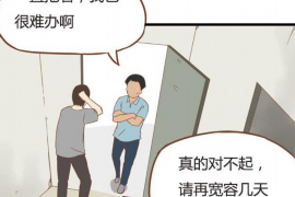 宜城专业讨债公司有哪些核心服务？